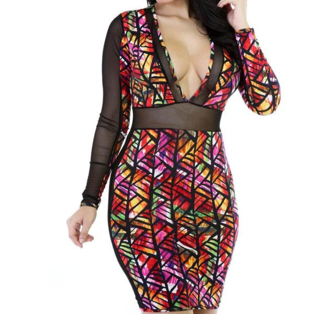 Dizzy Mesh Bodycon Mini Dress